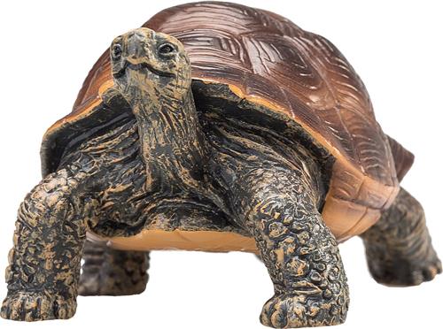 Mojo Wildlife speelgoed Reuzenschildpad - 387259