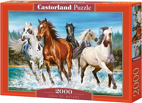 Castorland Legpuzzel Call Of Nature - 2000 Stukjes