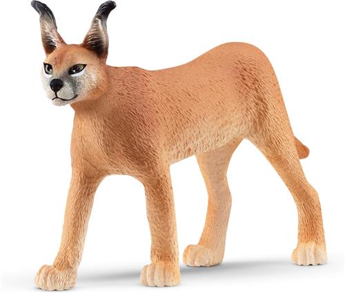 schleich WILD LIFE - Vrouwtjescaracal - 14867