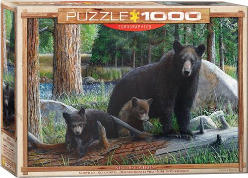 Eurographics puzzel New Discoveries - Daniel - 1000 stukjes