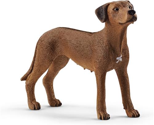 schleich FARM WORLD - Rhodesische ridgeback - 13895