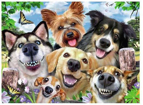 Ravensburger puzzel Vrolijke honden - Legpuzzel - 500 stukjes