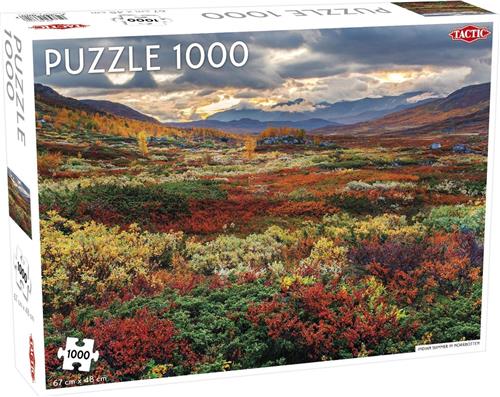 Puzzel Around the World Northern Stars: Indian Summer in Norrbotten - 1000 stukjes