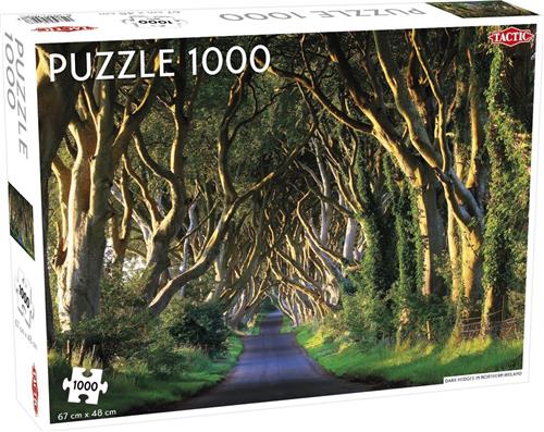 Puzzel Dark Hedges in Northern Ireland 1000 Stukjes