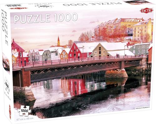 Puzzel Around the World Nothern Stars: Nidelva in Trondheim - 1000 stukjes