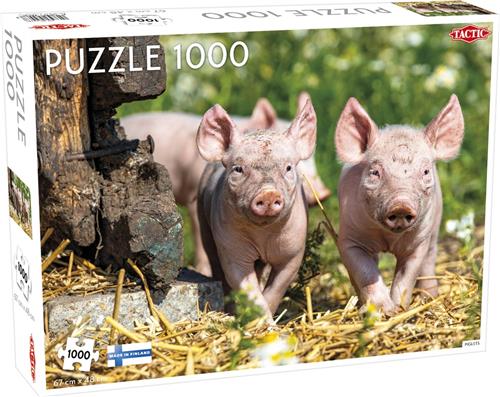 Piglets - 1000pcs