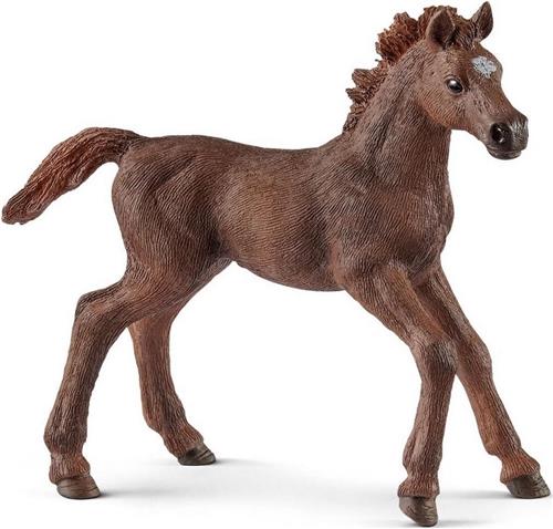 Schleich Horse Club 13857 English Thoroughbred Foal