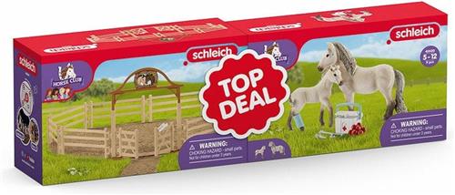 Schleich Horse Club Bundle 72242