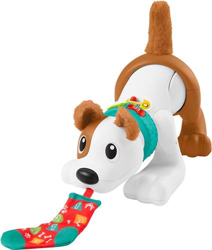 Fisher-Price 123 Kruip met mij Puppy - Baby Speelgoed - Franstalig