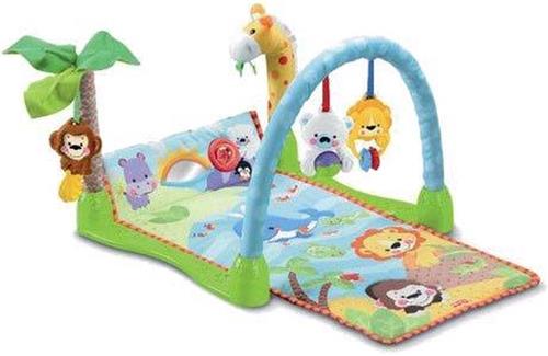 Fisher-Price Precious Planet Muzikale Speel Gym