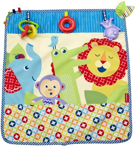 Fisher Price Activiteiten Doek