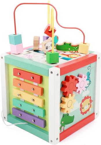 Fisher Price Activiteiten Kubus Hout