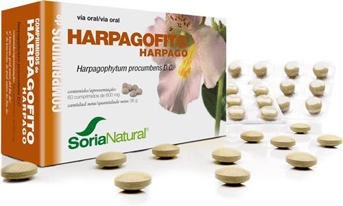 Harpagophytum Proc 24-S    Sor