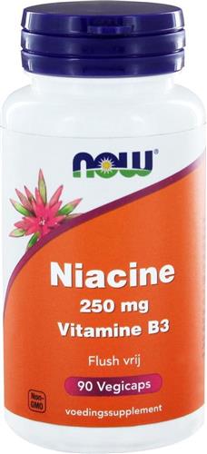 Niacin Flush Free 250Mg Now