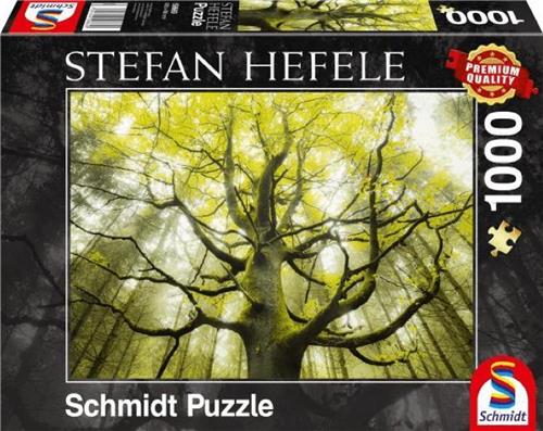 Schmidt -Droom Boom (1000) - Puzzel