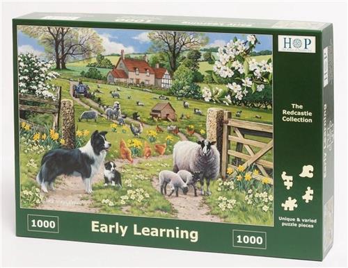 Legpuzzel - 1000 stukjes - Early Learning - House of Puzzels