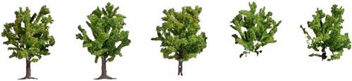 NOCH 25610 Set bomen Fruitboom 80 mm (max) 5 stuk(s)