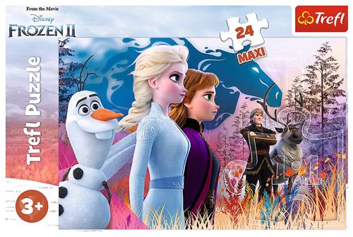 Puzzel D2:D120 Frozen 2 maxi: 24 stukjes