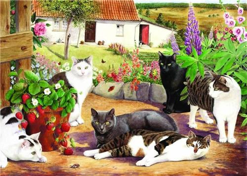 Cool Cats Puzzel 500 Stukjes XL