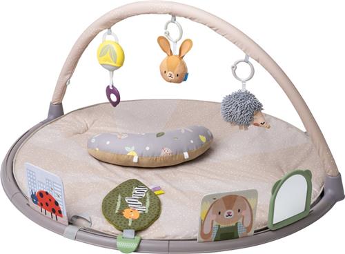 Taf Toys Activity Gym Tummy Time