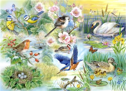 House of Puzzles Feathered Friends - BIG 250 Piece Jigsaw Puzzle