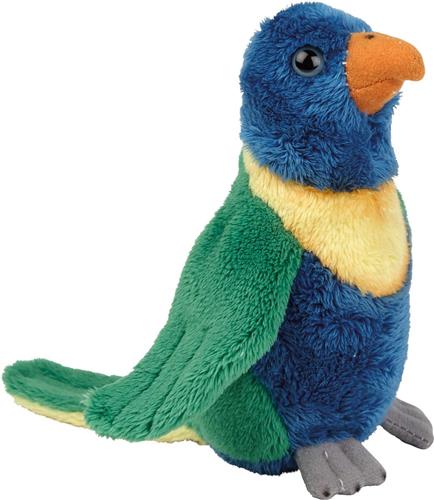 Pluche kleine knuffel dieren Lori parkiet vogel van 15 cm - Speelgoed knuffels vogels - Leuk als cadeau voor kinderen