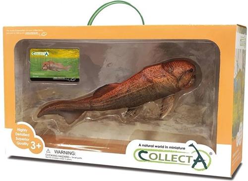 COLLECTA geschenkset - Prehistorie