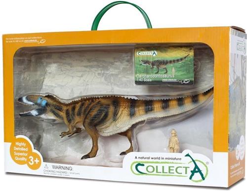 COLLECTA geschenkset - Prehistorie