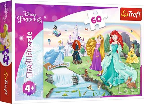 Trefl Trefl 60 - Ontmoet de prinsessen / Disney Princess