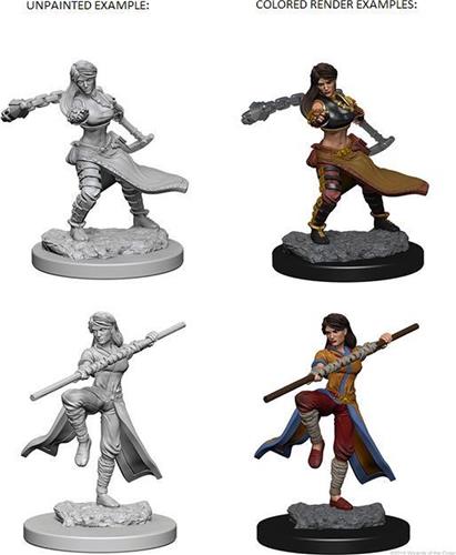 D&D Nolzur's Marvelous Miniatures Human Monk Female