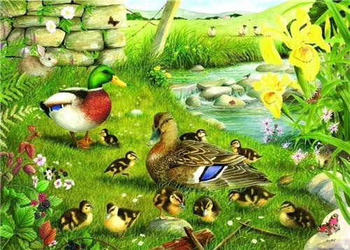 House of Puzzles Ducks To Water - BIG 500 Piece Jigsaw Puzzle