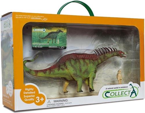 Collecta Prehistorie: Amargasaurus Speelset 1:40 Groen