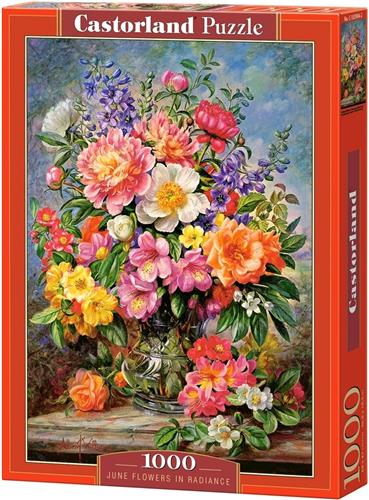 Castorland Legpuzzel June Flowers In Radiance - 1000 Stukjes