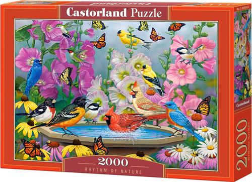 Castorland Rhythm of Nature - 2000pcs