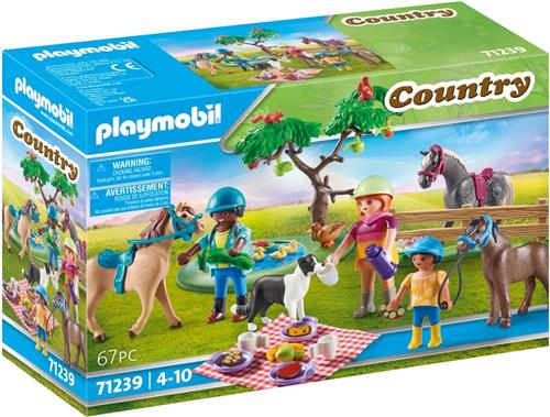 PLAYMOBIL Country Picknick excursie met paarden - 71239