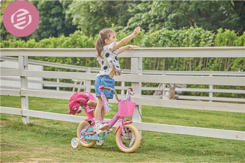 Equivera Fietszitje Pop - Poppenzitje Fiets - Fietsstoeltje Pop - Poppenzitje - Poppenzitje Voor Kinderfiets