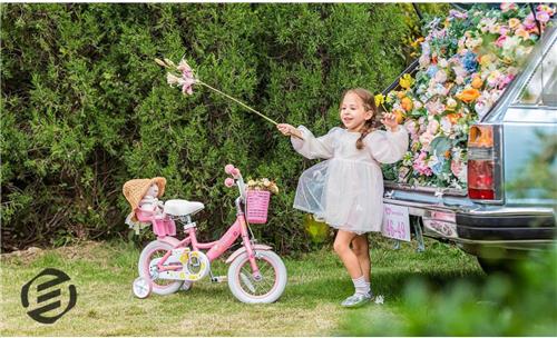 Equivera Fietszitje Pop - Poppenzitje Fiets - Fietsstoeltje Pop - Poppenzitje - Poppenzitje Voor Kinderfiets