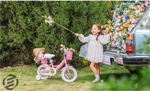 Equivera Fietszitje Pop - Poppenzitje Fiets - Fietsstoeltje Pop - Poppenzitje - Poppenzitje Voor Kinderfiets