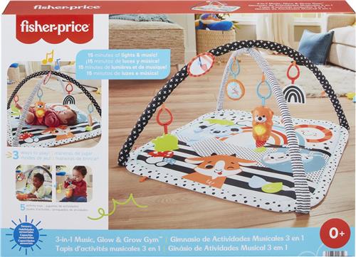 Fisher-Price Baby Muziek Gym 3 in 1 - Pasgeboren baby speelgoed