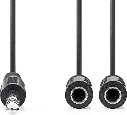 Nedis Stereo-Audiokabel - 6,35 mm Male - 2x 6,35 mm Female - Vernikkeld - 0.20 m - Rond - Doos