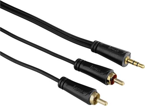 Hama 00123241 audio kabel 5 m 3.5mm 2 x RCA Zwart