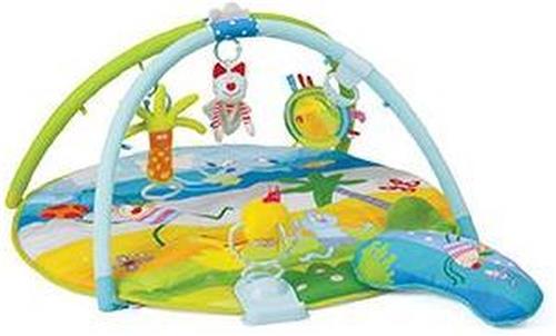 Taf Toys Baby gym - Speelkleed met afneembare bogen en speeltjes - 0 - 24 mnd