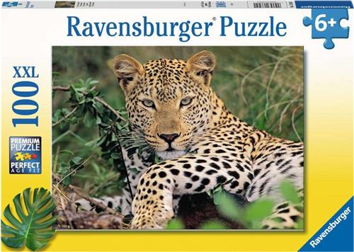 Ravensburger Luipaard