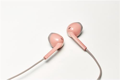 JVC HA-F19M-PT-E - In Ear - Roze/Taupe