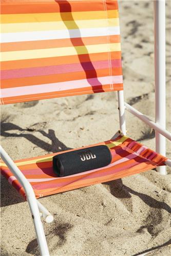 JBL Flip 6 - Portable Bluetooth Speaker - Pink